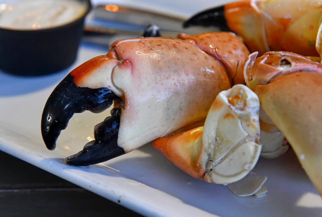 Stone Crab Season 2025