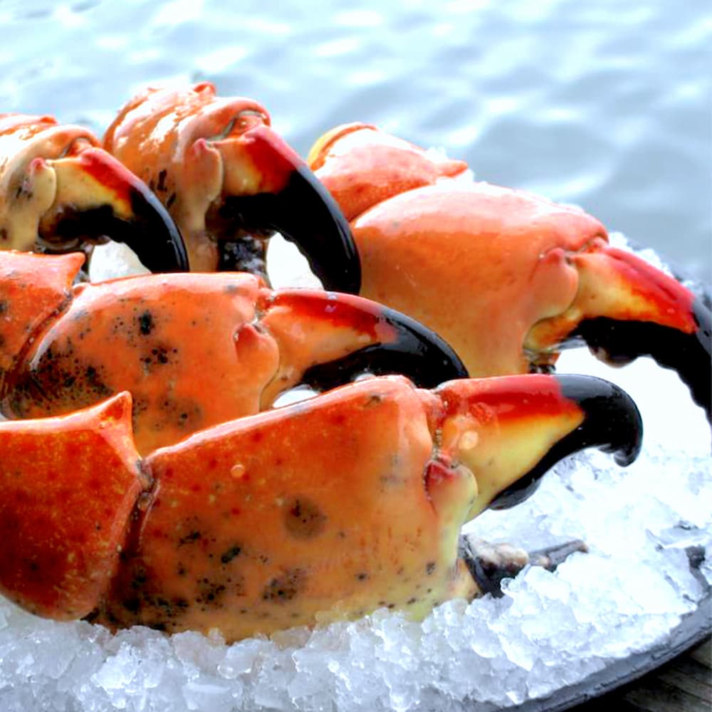 How Many Stone Crabs Per Person? A Stone Crab Serving Guide | Billy's