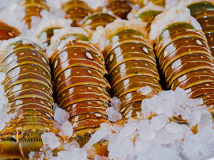 Lobster Tails in Ice